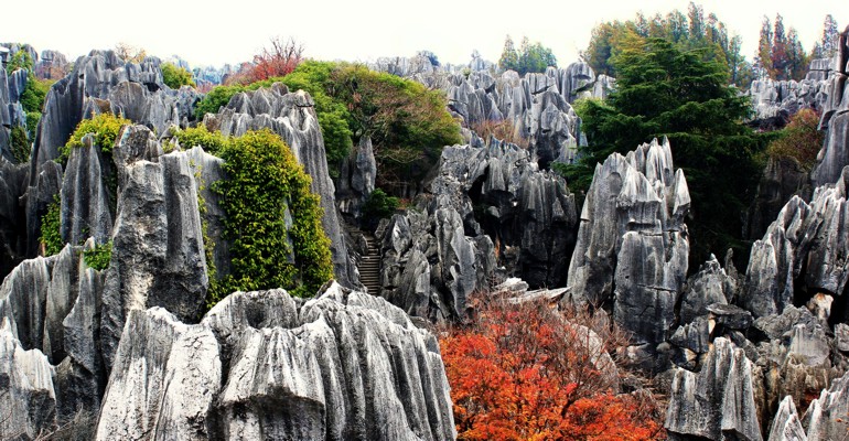 Kamienny Las Kunming